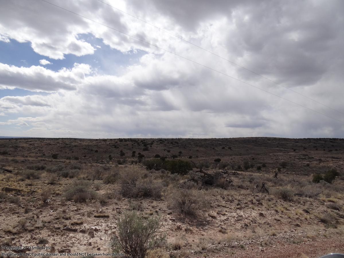 50 Acres land for sale in Carrizozo, NM by Ruidoso about 2.5 hours SE